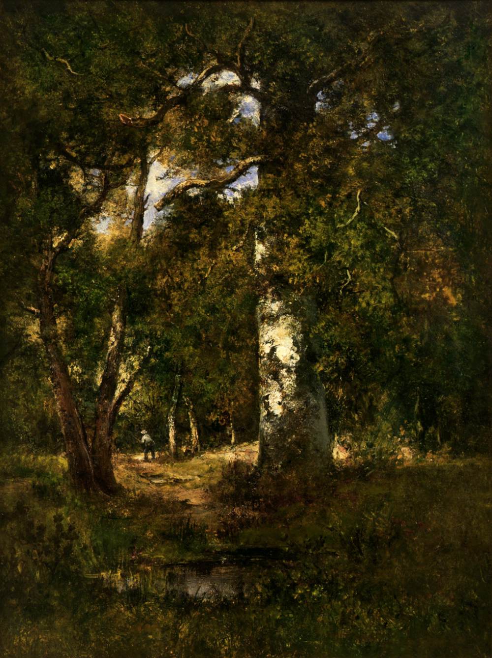 forest scene