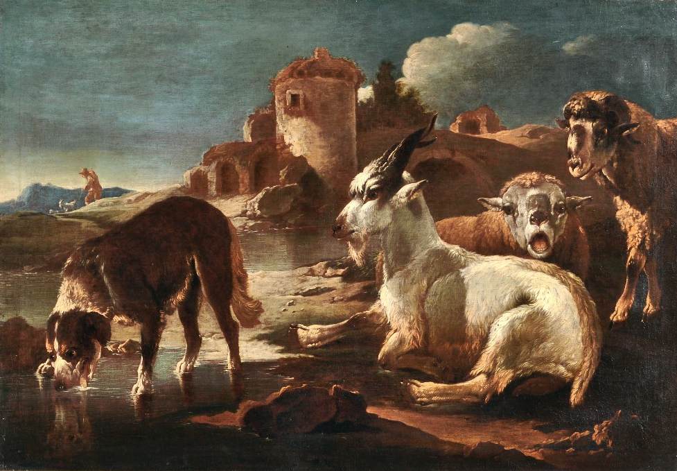 A Dog, a Goat and Two Sheep