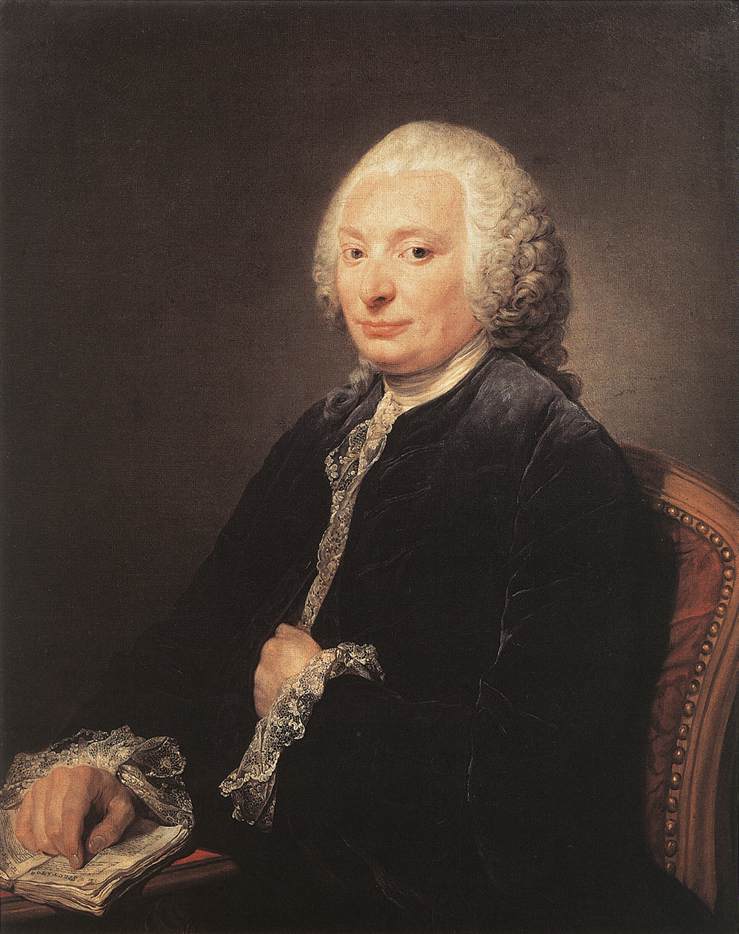 Portrait of Jorge Goguenot de Croissy