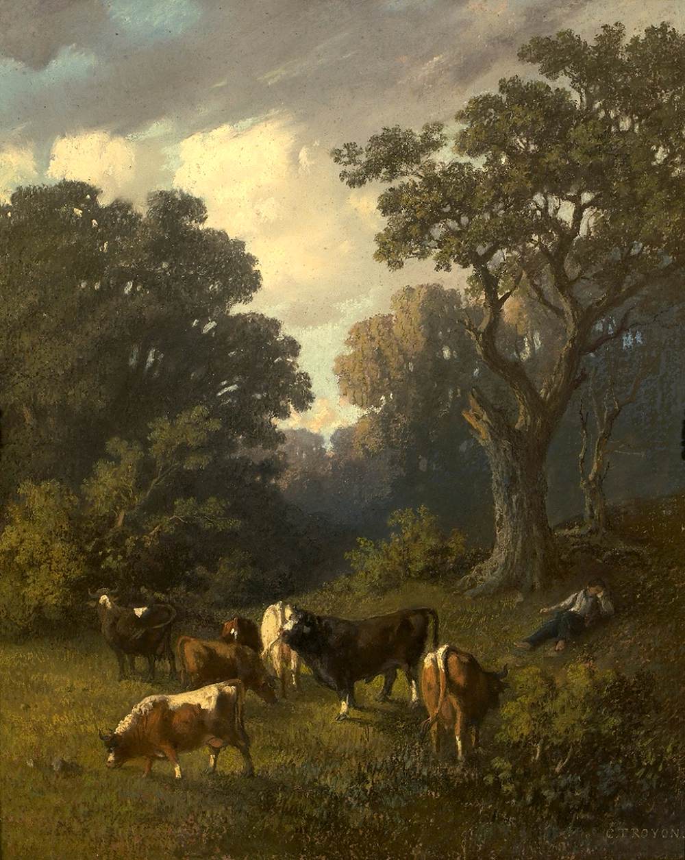 Cows Grazing in a Clearing