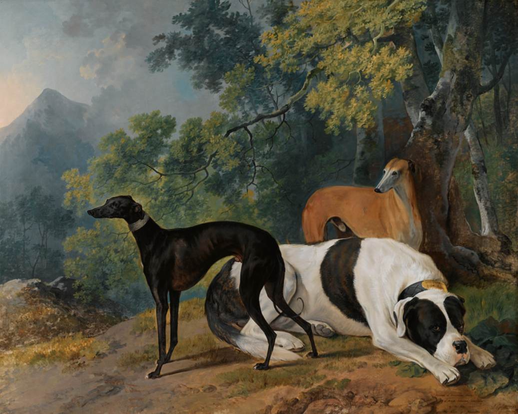 Two Greyhounds and a Mastiff