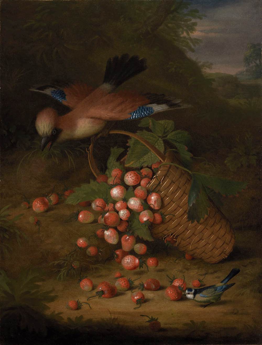 A Jay with a Basket of Strawberries