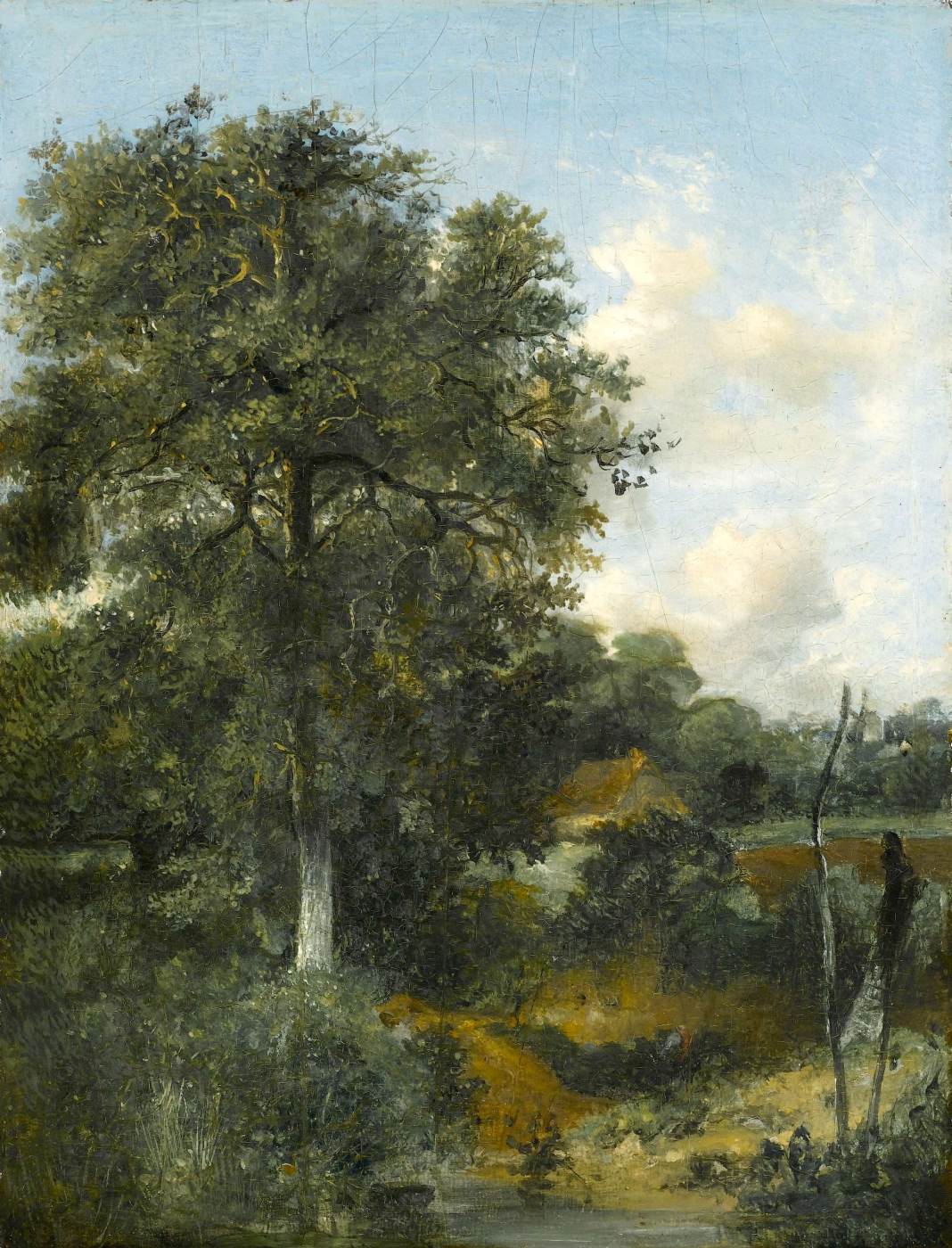 Wooded Landscape with an Oak