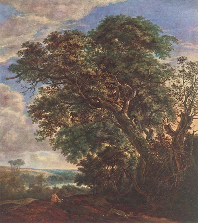 Landschap met rivier en bomen