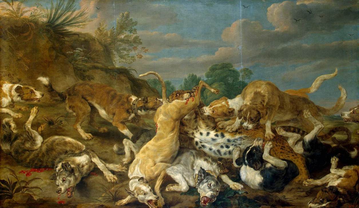 The Leopard Hunt