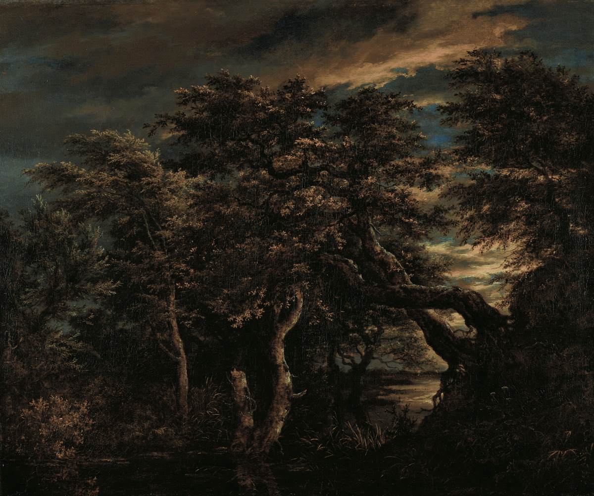 A Swamp in a Forest at Dusk
