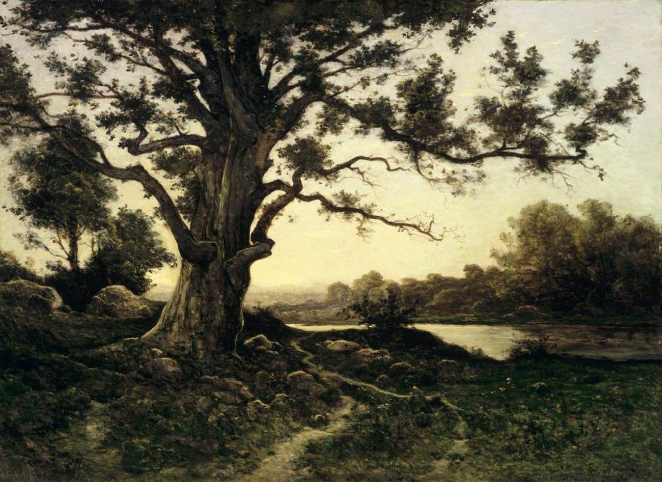 Oak