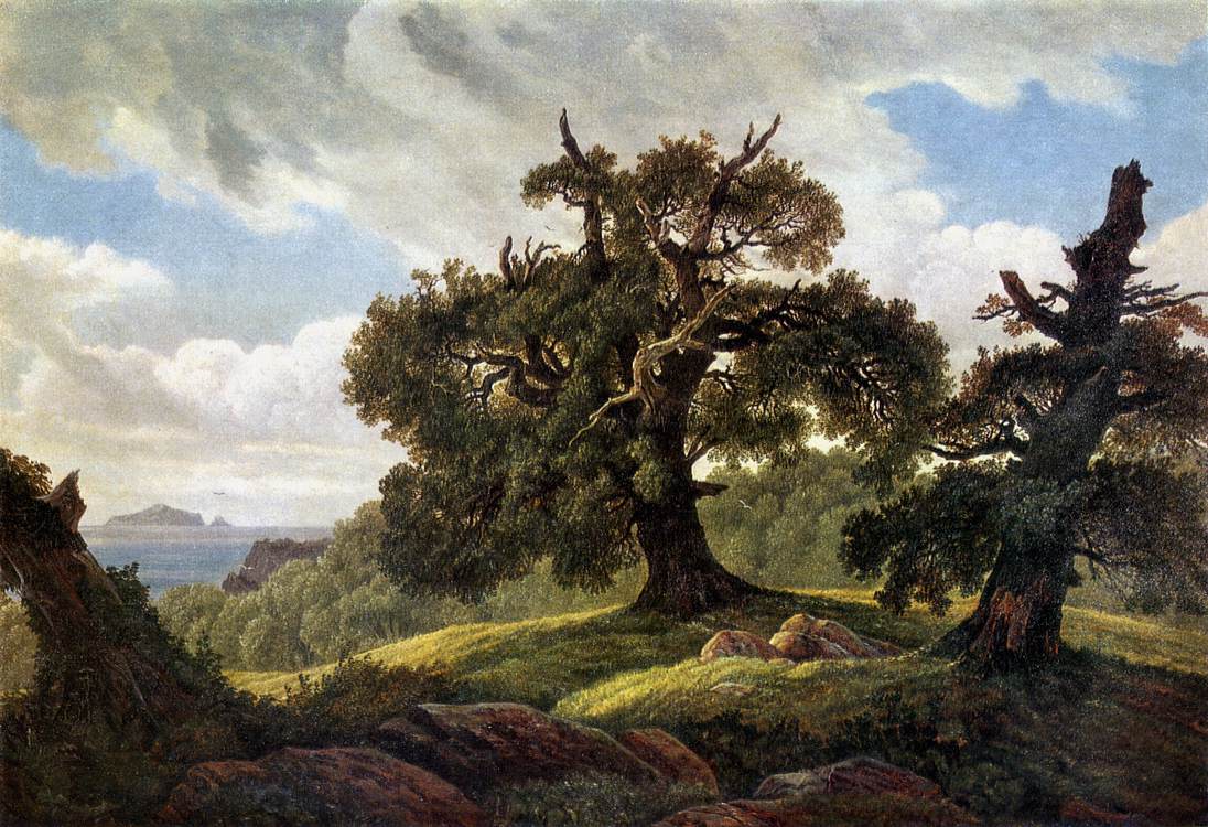 Oaks on the Seashore