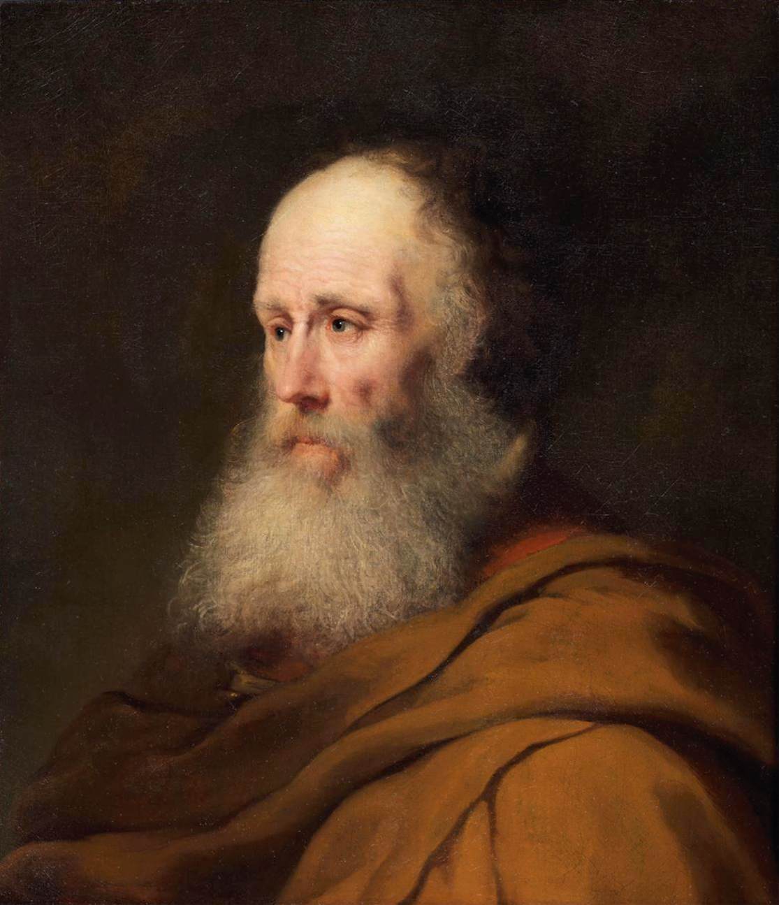 Bearded Old Man in a Brown Cloak