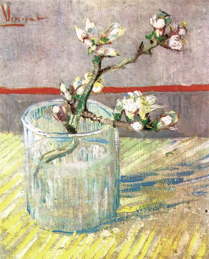 Flowering Almond Branch in a Glass