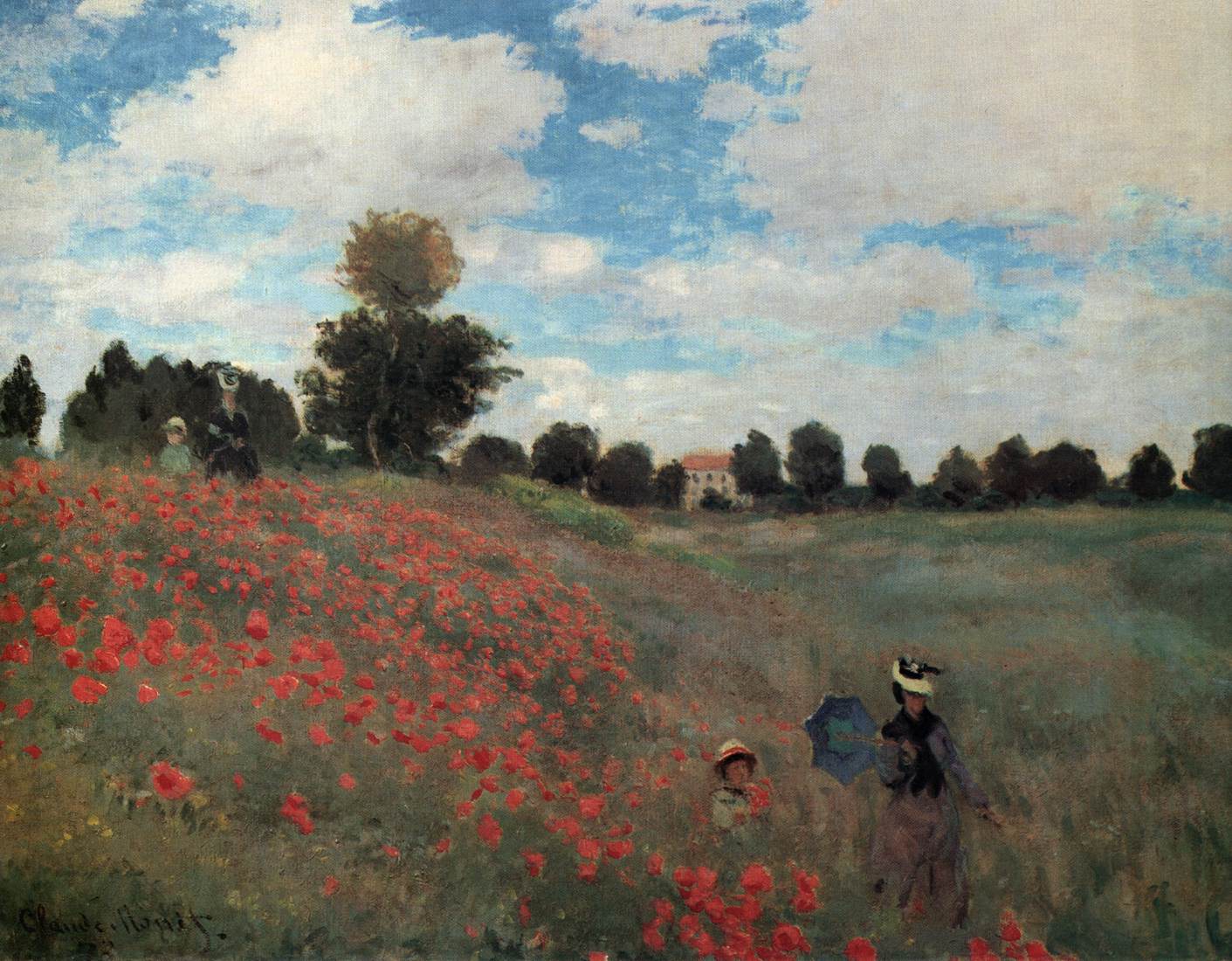 Un champ de coquelicot