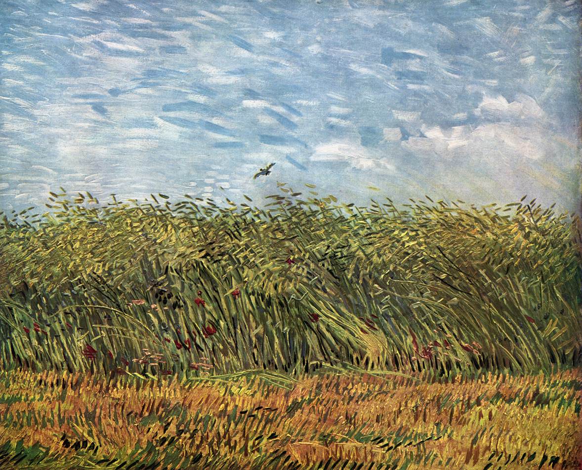 Wheat Field with a Skylark