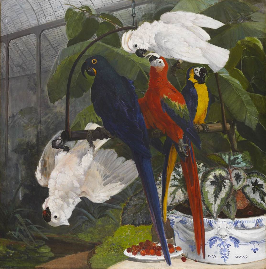 Parrots in Jardin Des Plantes