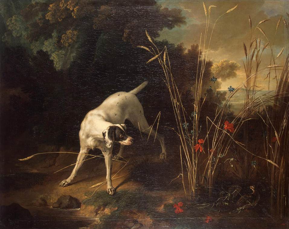 Dog Pointing at a Partridge