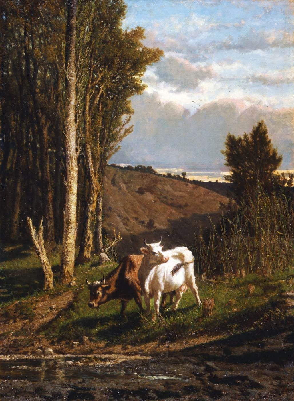 a pasture