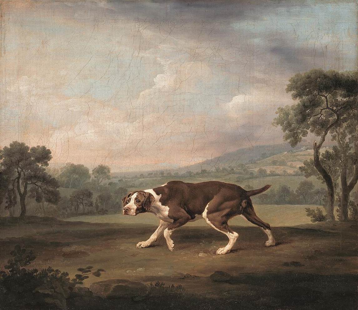 The pointer