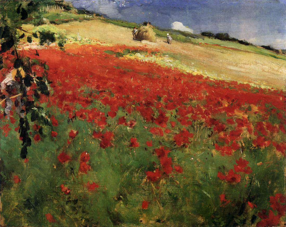 Poppy Landscape