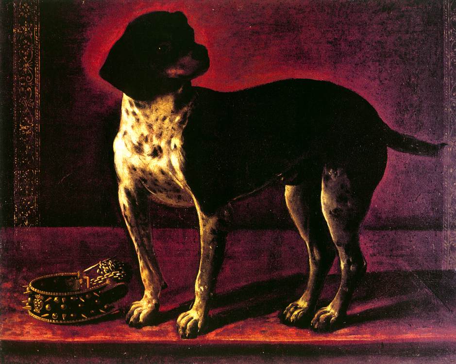retrato de um cão