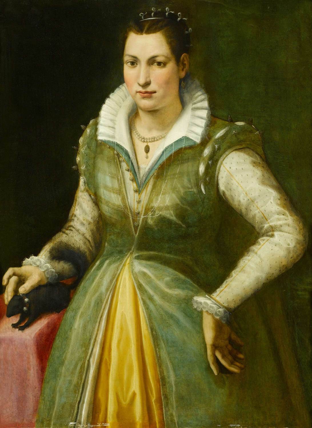 Portrait of a Lady