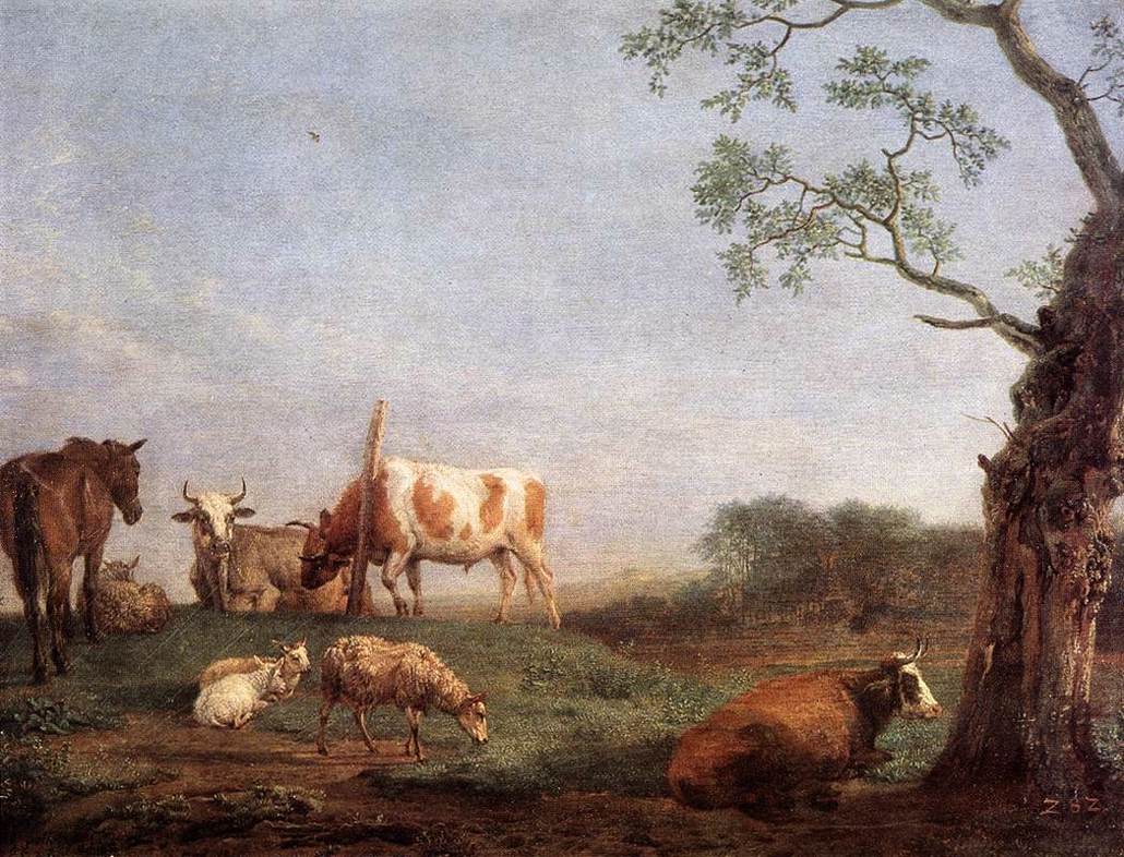 herd at rest