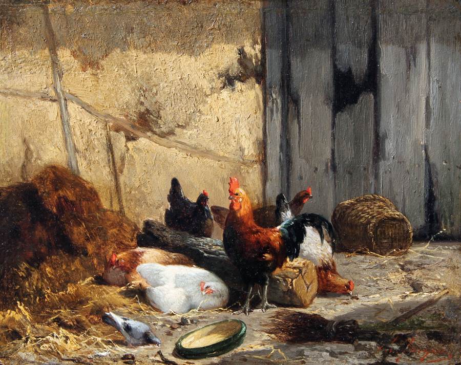 rooster and chickens