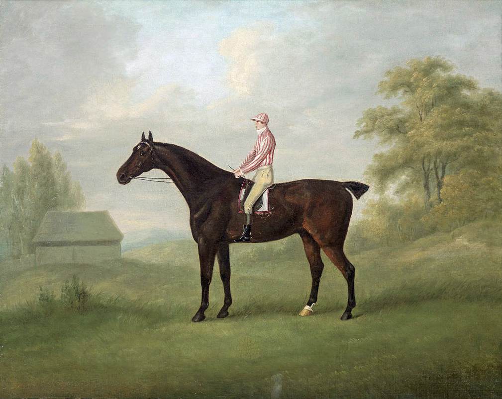 The Black Smolensk Racehorse