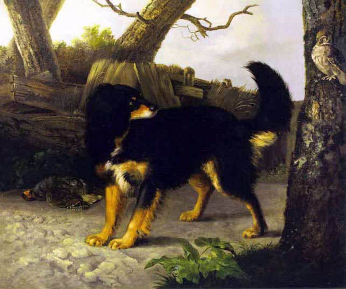 Eine schwarze und braune Spaniel