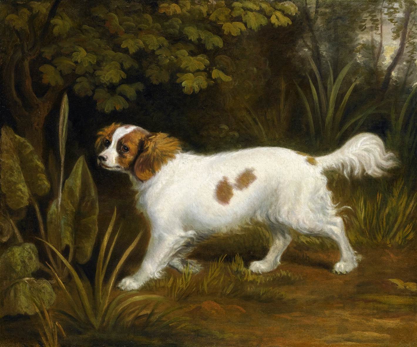 Un Spaniel Cavalier du roi Charles dans un paysage