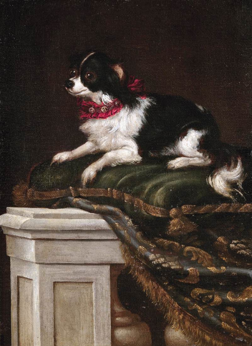 A Spaniel on a Cushion