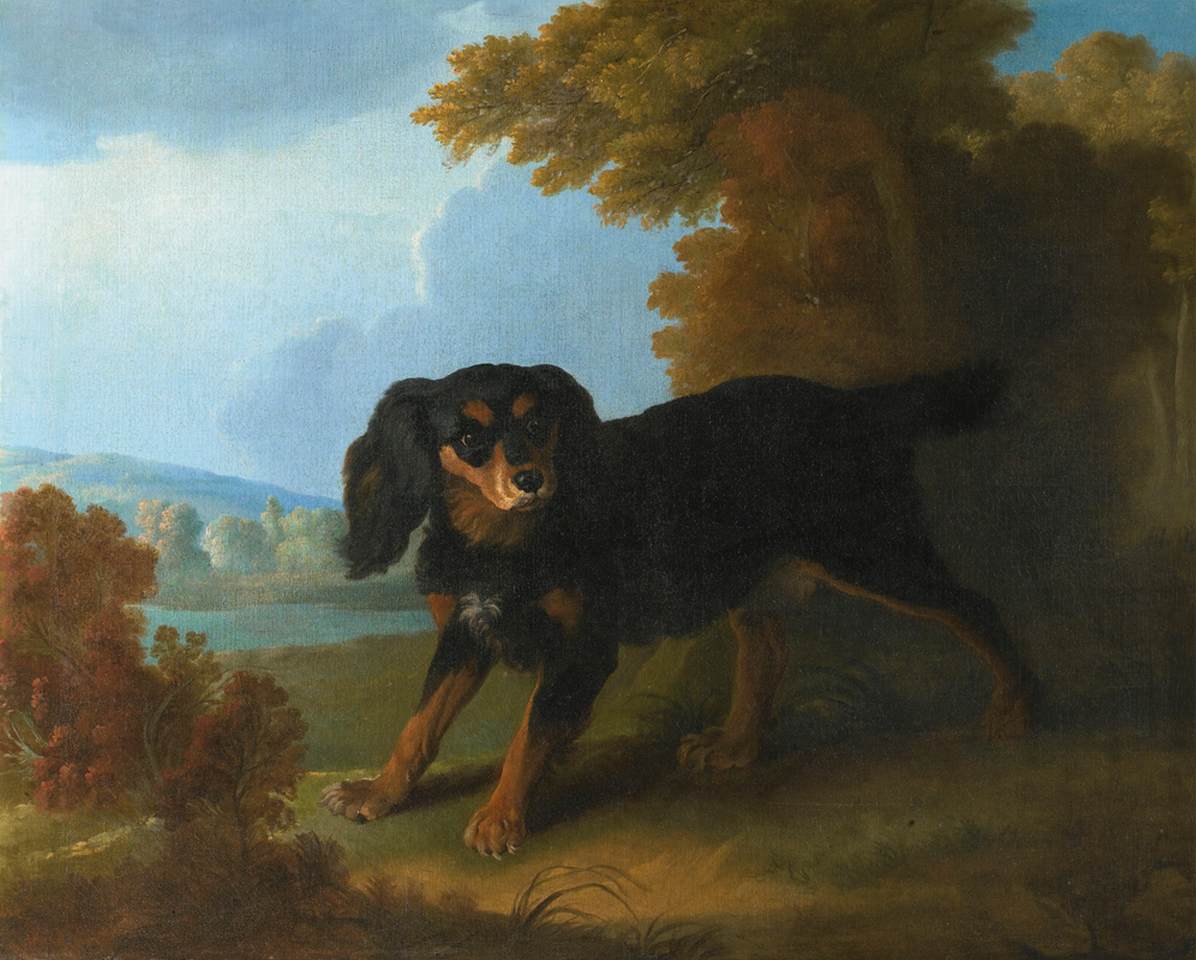 Portrait of Mimi, King Charles Spaniel by Madam de Pompadour