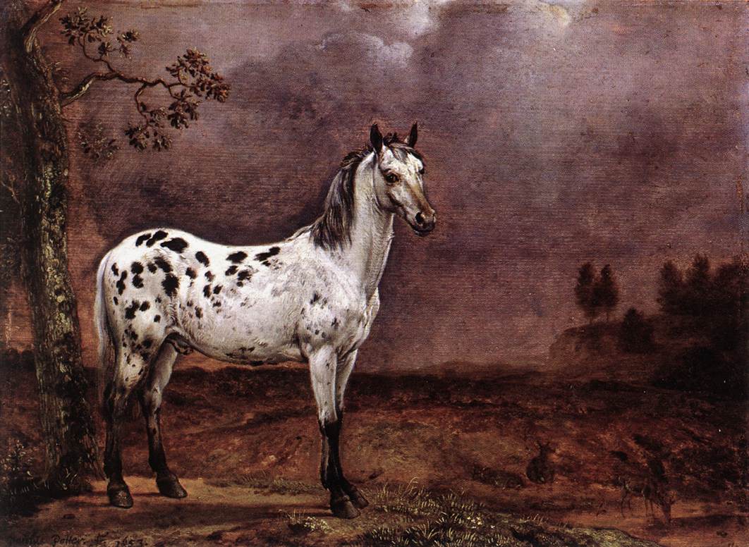 Le cheval taché