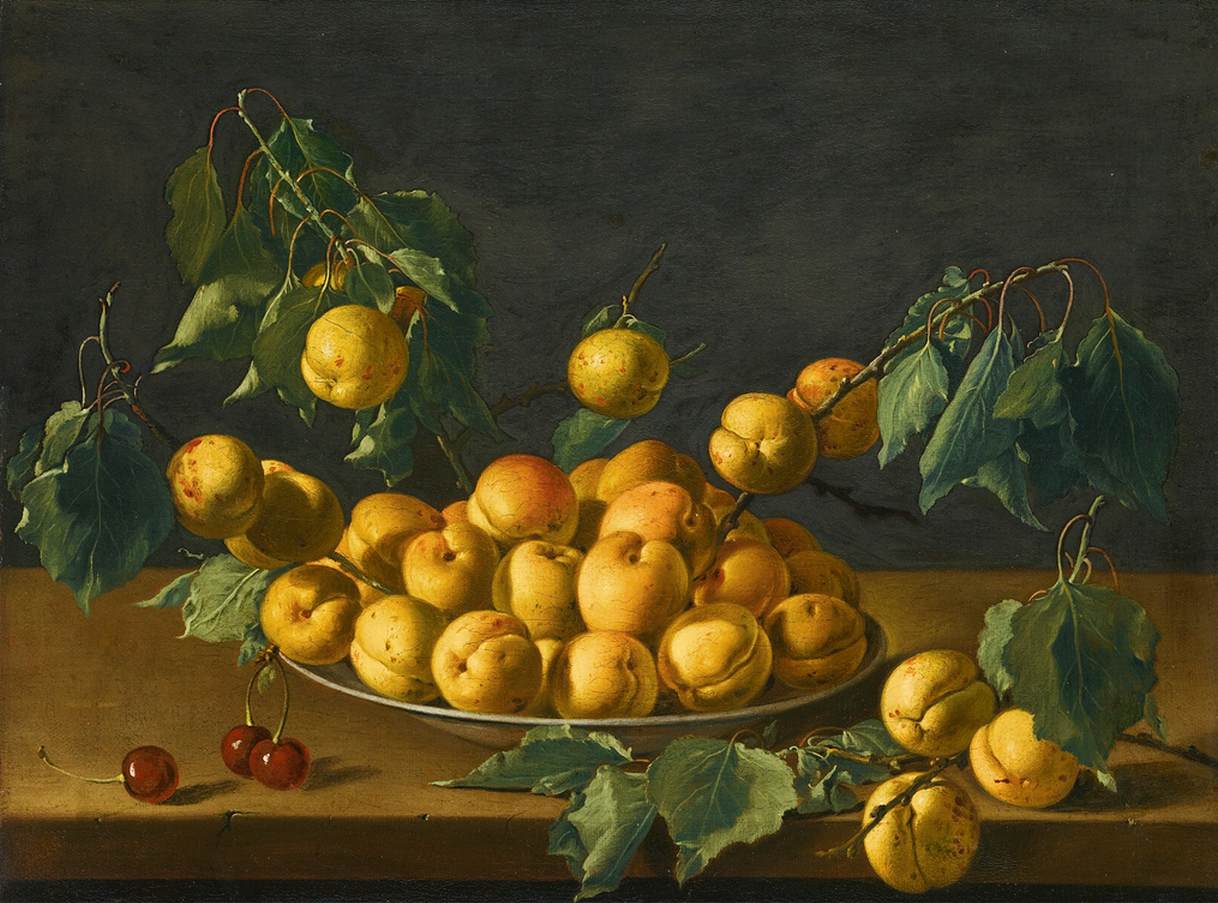 Fruit Still Life