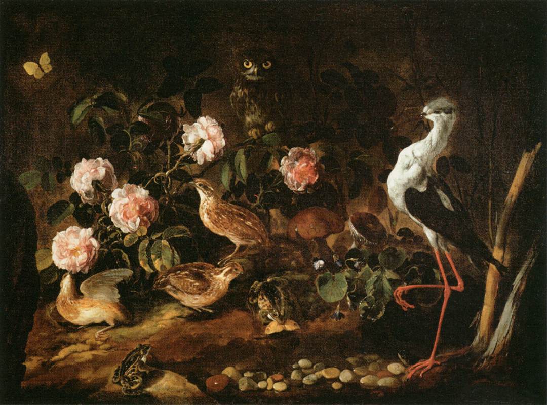 Still Life with an Owl and an Ibis