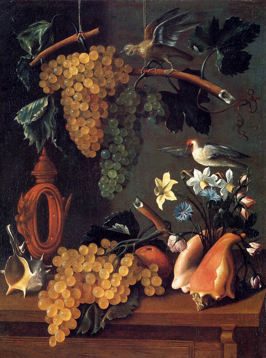 Still Life of Grapes, Flowers and Shells