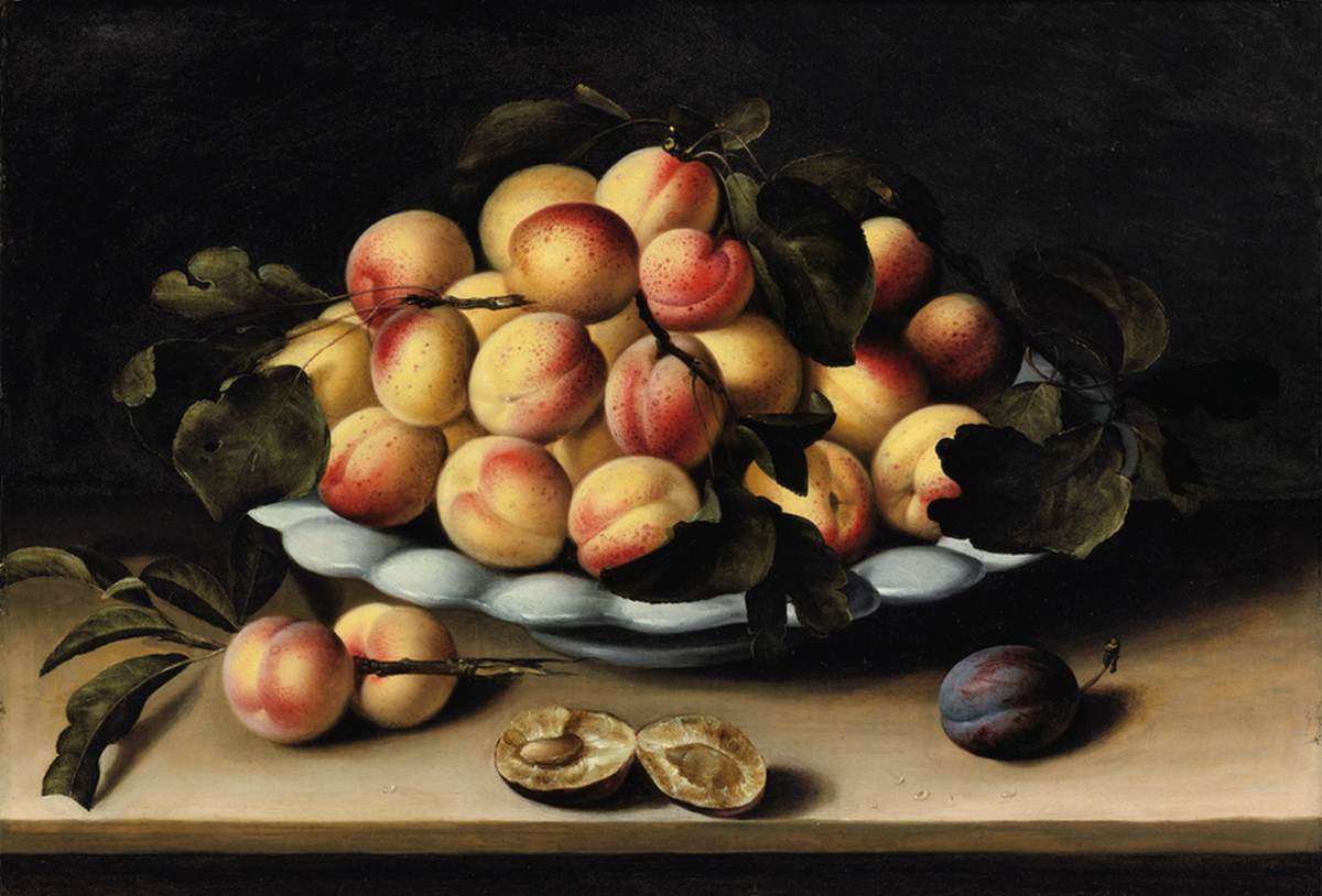 Still life