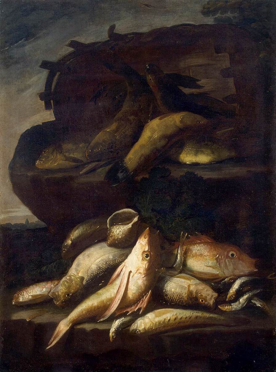 Still Life with Fish and a Shell