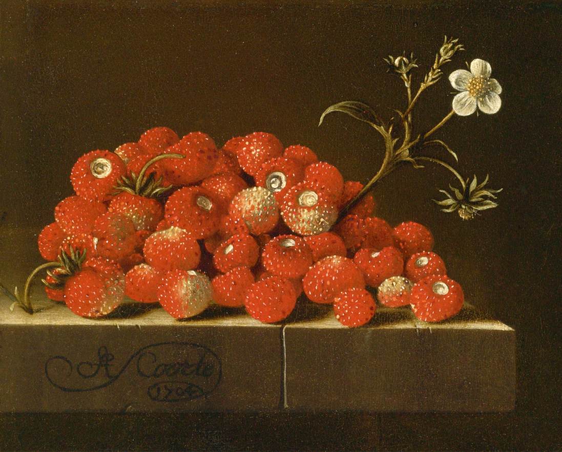 Wilde Erdbeeren in einem Regal