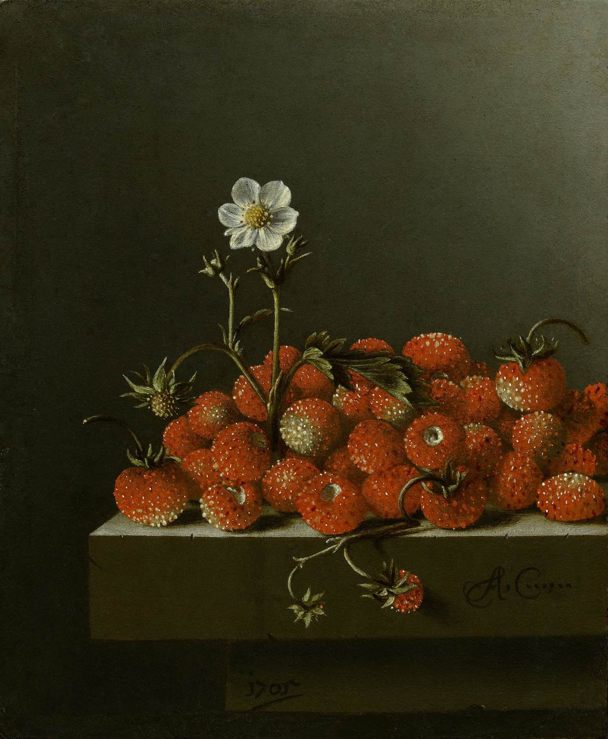 Bodegón med vilde jordbær