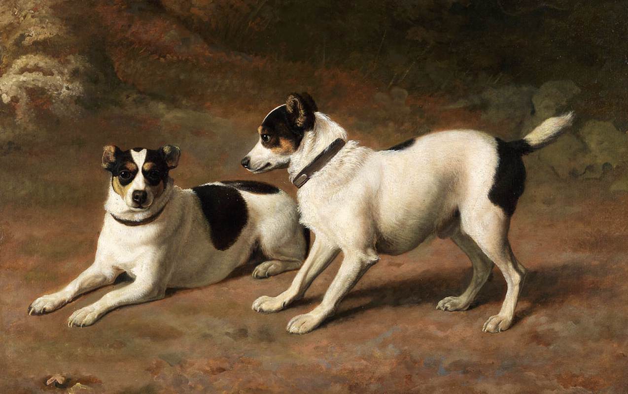 Dois Terriers de um Banco Musgoso 