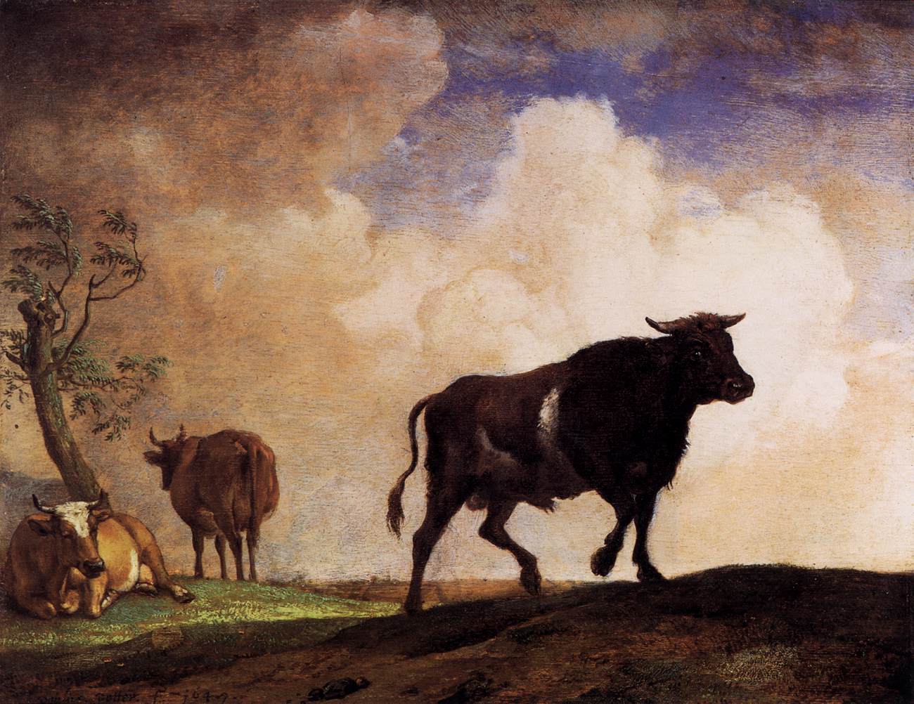 Il Toro