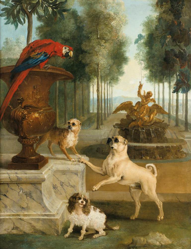 Três cães e uma arara em um parque