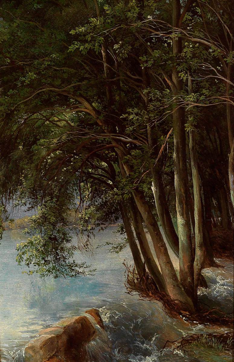 Trees on the Bank