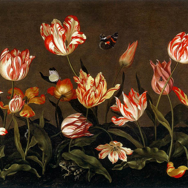 tulips_600x600_crop_center.jpg