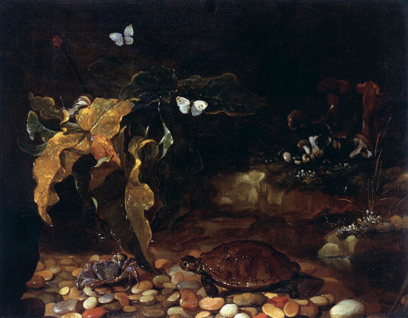 Undergrowth with Turtle and Crab