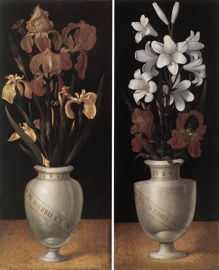 vasos de flores