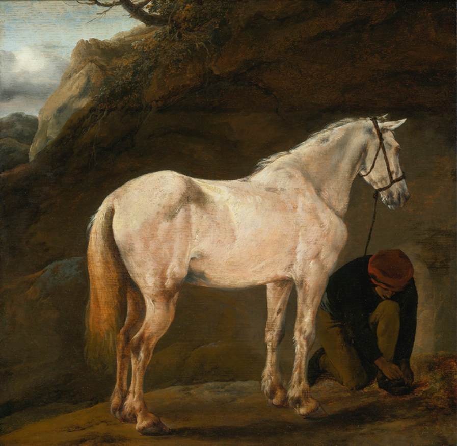 Biały koń w krajobrazie z chłopakiem