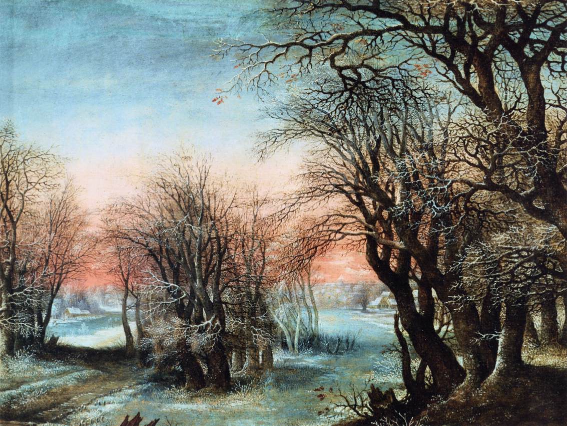 Paysage d'hiver