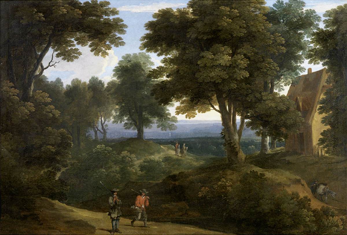 Paysage boisé