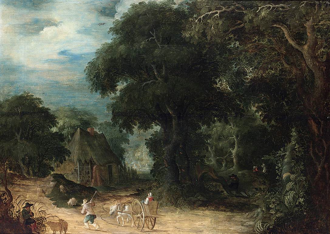 Paysage boisé