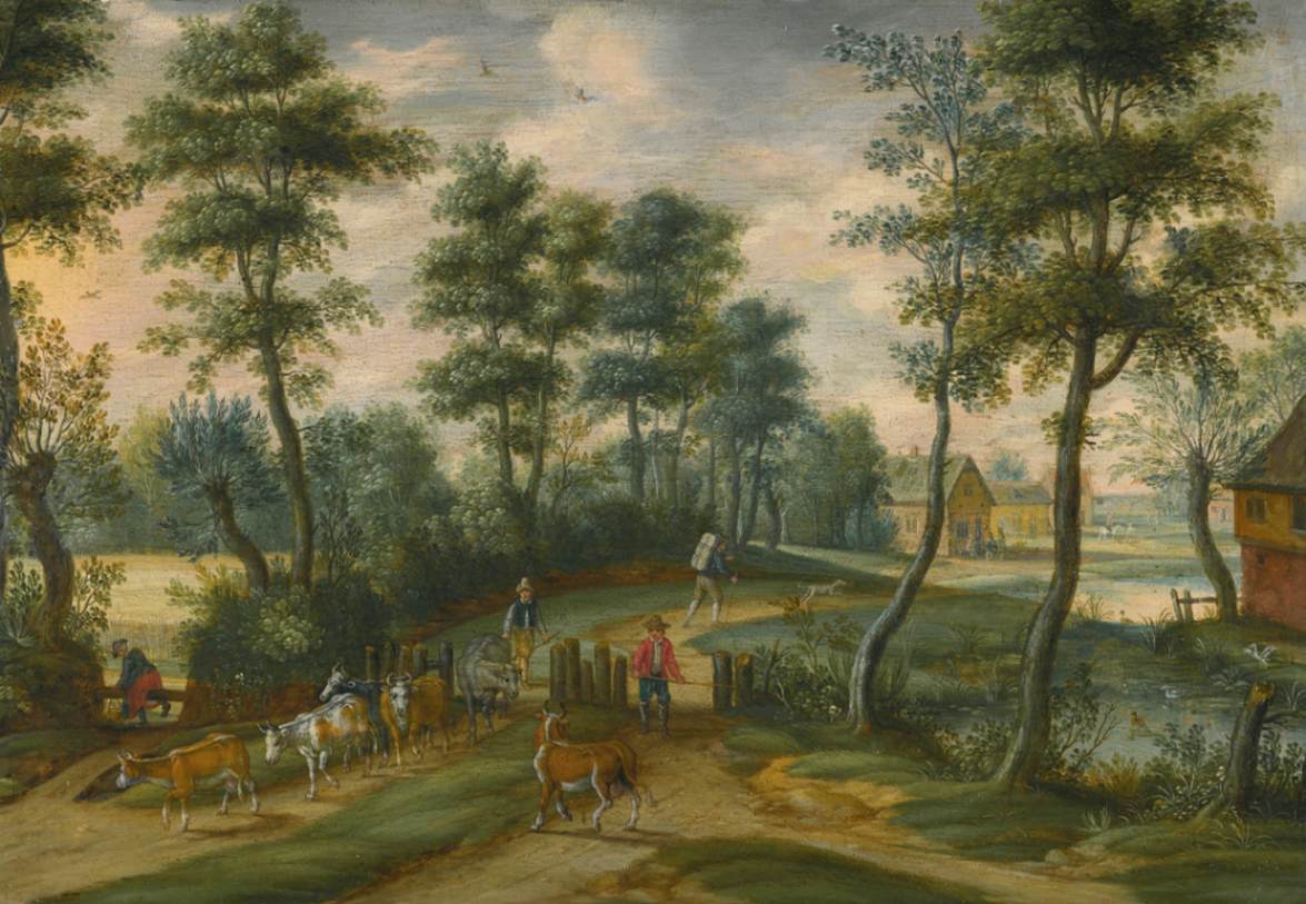 Paysage boisé